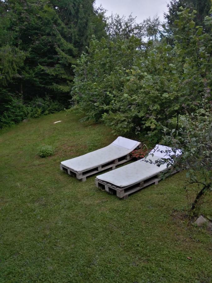 Dorina Hiza Villa Карловац Екстериор снимка