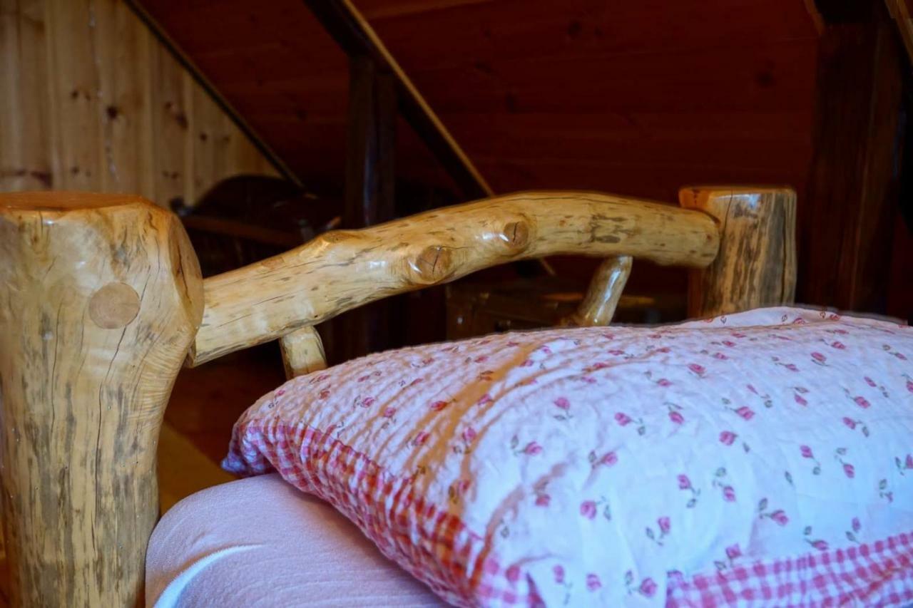 Dorina Hiza Villa Карловац Екстериор снимка